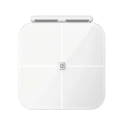 Mijia Scale